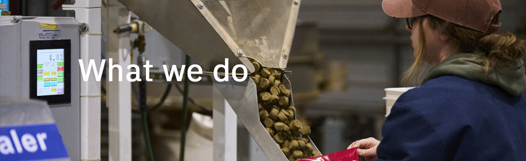 What we do header banner
